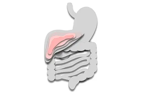 Enfermedades del higado enfermedades aparato digestivo icadig