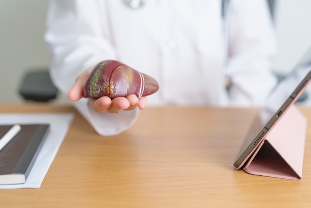 Doctor with human Liver model and tablet. Liver cancer and Tumor, Jaundice, Viral Hepatitis A, B, C, D, E, Cirrhosis, Failure, Enlarged, Hepatic Encephalopathy, Ascites Fluid in Belly and health