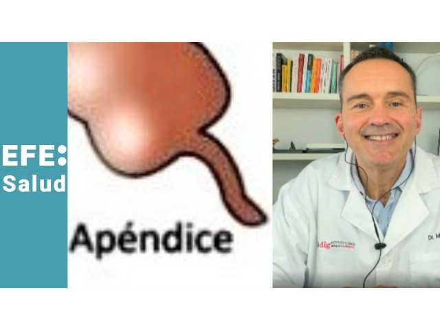 Apendicitis: causas, síntomas, diagnóstico y tratamientos actuales