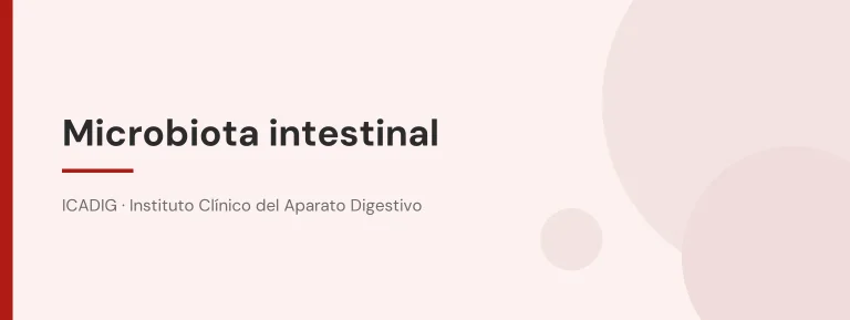 Microbiota intestinal